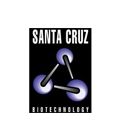 Santa Cruz