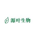 源叶