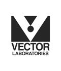 Vector