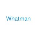 Whatman