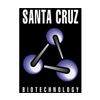 Santa Cruz