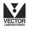 Vector