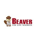 Beaver