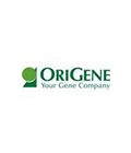 Origene
