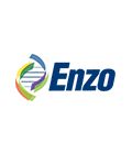 Enzo