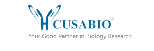 cusabio.CSB-YP324207ENV	Recombinant Escherichia coli Ribonuclease E(rne) ,partial	1mg
